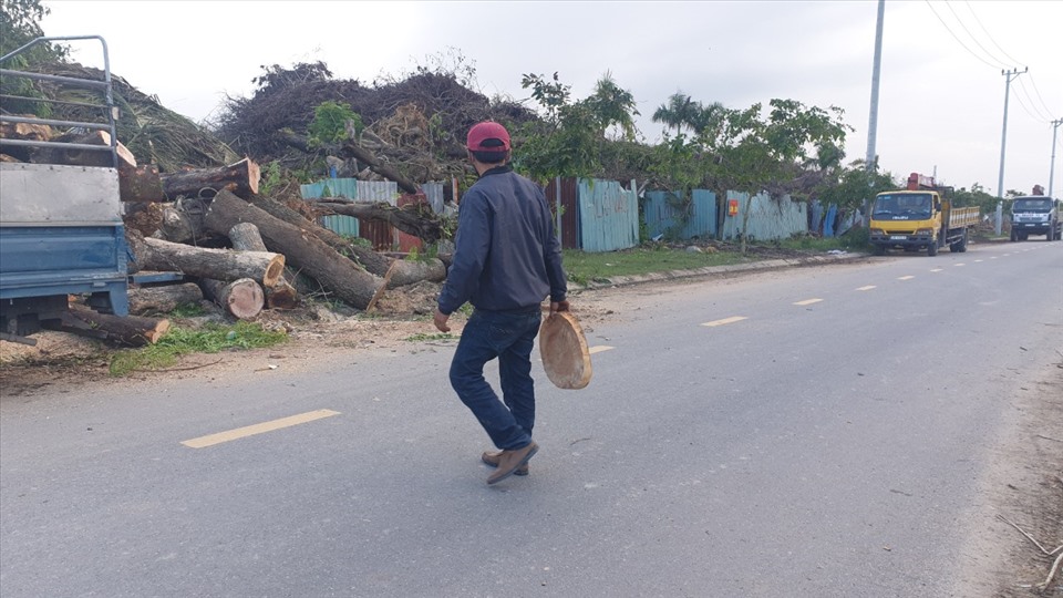 Việc người lạ vào bãi rác cưa xẻ các loại cây gỗ cό đường kίnh từ 20-40cm diễn ra từ lâu. Ảnh: HL