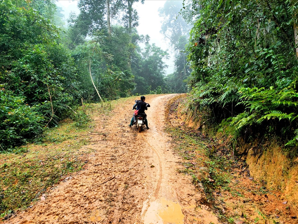 Từ trung tâm bản Vịn, xã Bát Mọt di chuyển bằng xe máy khoảng 3km để đến khu vực đường mòn dẫn vào rừng pơ mu, sa mu. Ảnh: Quách Du