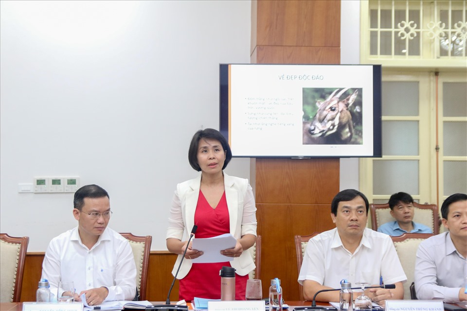 Bà Lê Thị Hoàng Yến trong một phiên họp của Liên đoàn Thể thao Đông Nam Á. Ảnh: Bùi Lượng