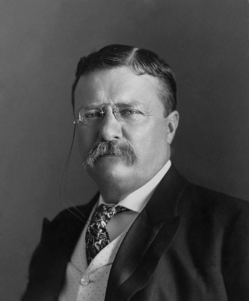 Tổng thống Theodore Roosevelt. Ảnh: Omega Plus cung cấp