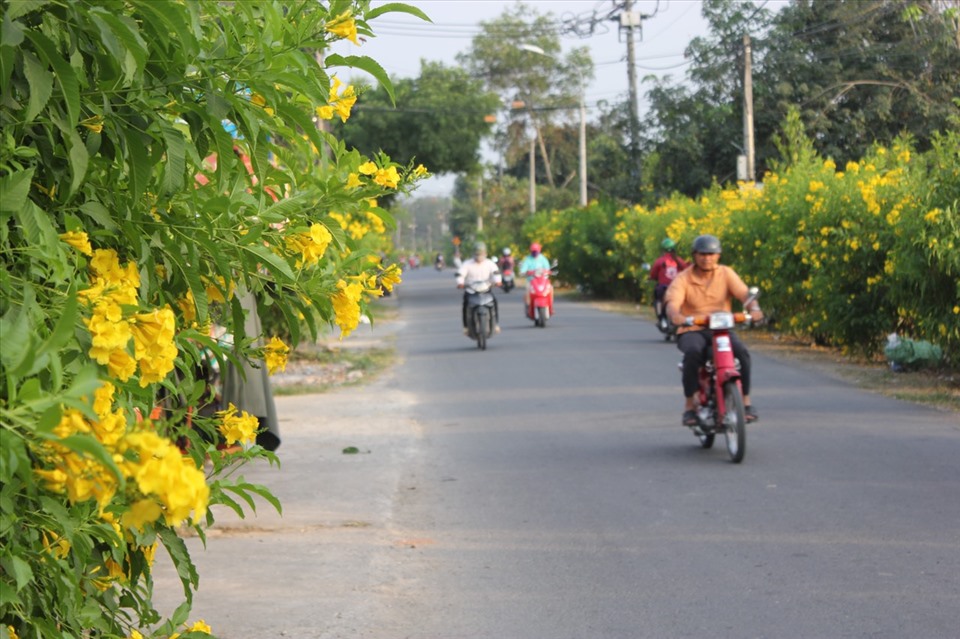 Một tuyến đường theo mô hình nông thôn mới kiểu mẫu tại Đồng Nai. Ảnh: BCĐNTM