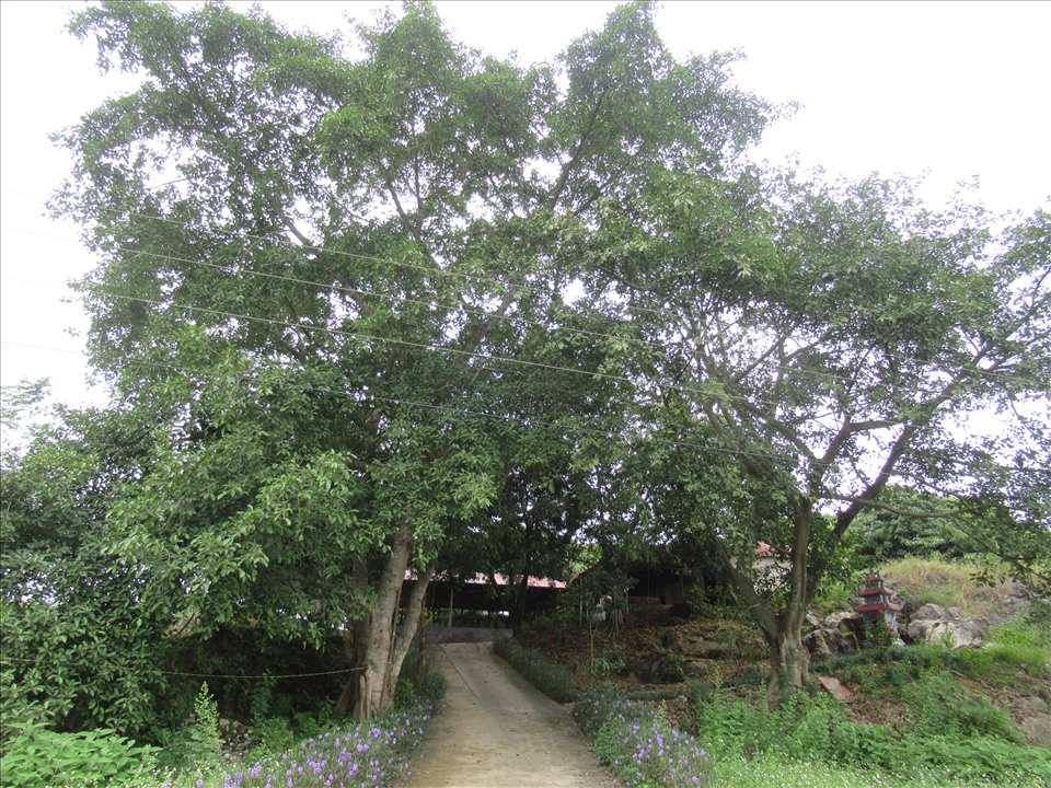 Chùa Tăng Má và ngôi miếu ở cửa Thạch Long động tại xã Thanh Lâm, huyện Thanh Thủy, tỉnh Phú Thọ.