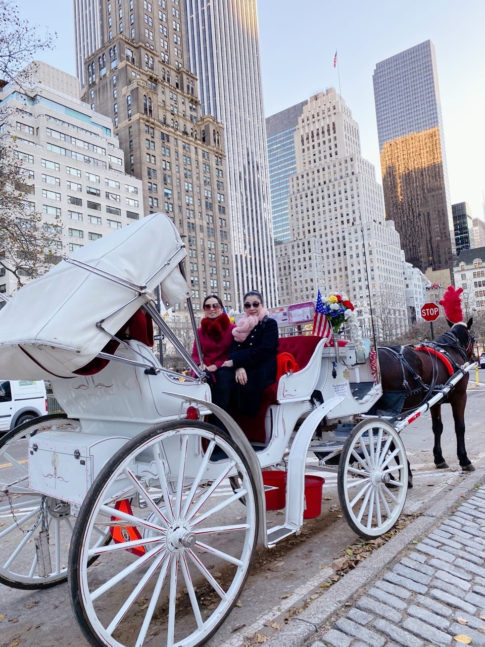 Cả hai cùng ngồi trên xe ngựa ngắm cảnh vòng quanh công viên Central Park (Manhattan), trổ tài làm trò ở trước các cửa tiệm của mall Macy và mall Saks Fifth - nơi được trang hoàng lộng lẫy để chào đón mùa lễ hội lớn nhất năm.