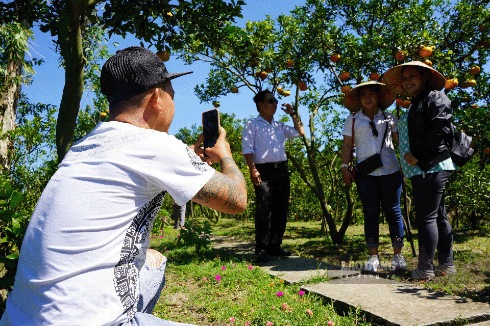 Vừa mở cửa nhưng vườn nhà ông Hai Kiệt đã thu hút rất nhiều khách gần xa đến tham quan chụp ảnh.