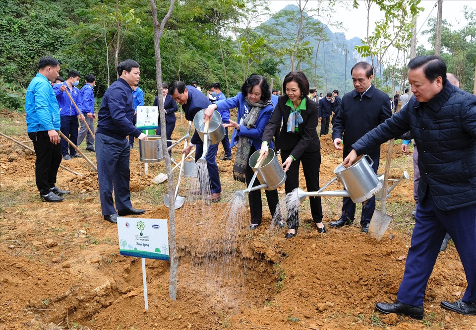 Các đại biểu và đoàn viên thanh niên, học sinh của tỉnh Tuyên Quang cùng nhau trồng cây tại khu vực Lán Hang Thia, Khu di tích lịch sử Tân Trào.