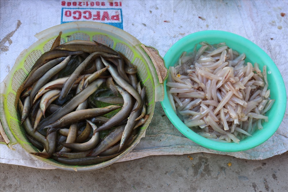 Không chỉ đa dạng những loại cá sông hay mớ cá đồng tươi rói mà khu chợ còn phục vụ các món chế biến sẵn như hến ruột đã được bóc vỏ.