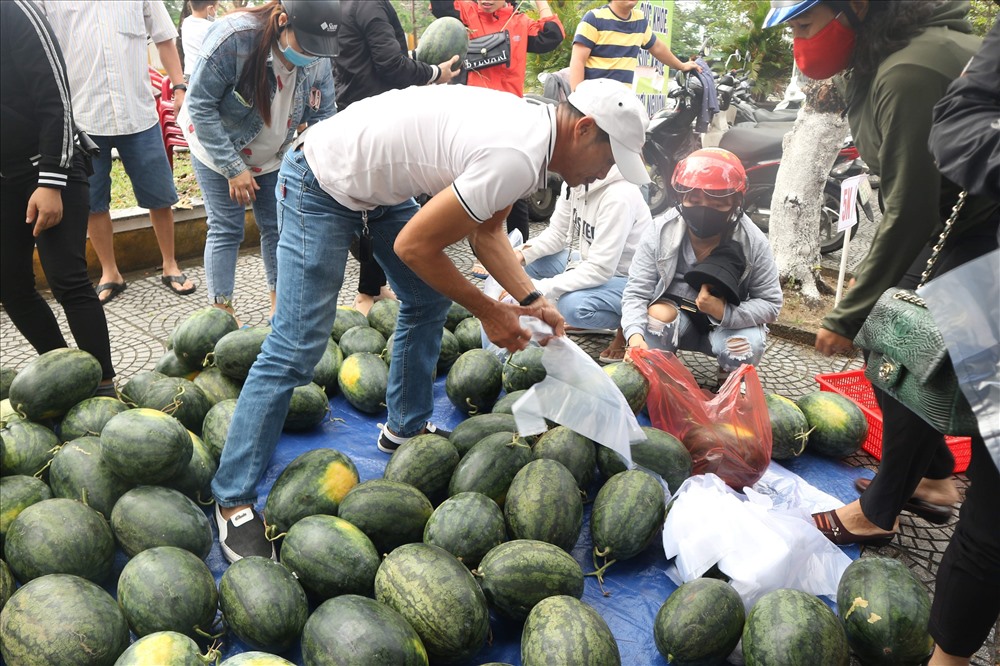 Nhiều tuần qua, rất nhiều ''chiến dịch'' giải cứu dưa hấu được phát động để giúp đỡ người dân trồng dưa ở các tỉnh Gia Lai, Bình Định, Đắk Lắk... Ảnh: Thanh Chung