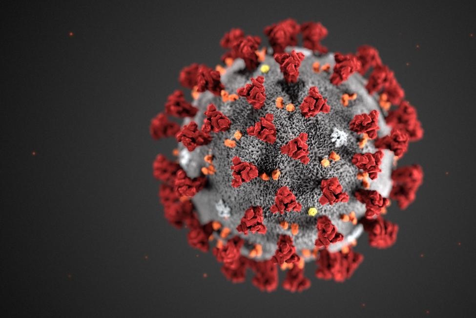 Hình minh họa của Trung tâm kiểm soát và phòng ngừa dịch bệnh Mỹ (CDC) về hình thái của virus Corona mới 2019 hay COVID-19 thường thấy trước đó. Ảnh: CDC.