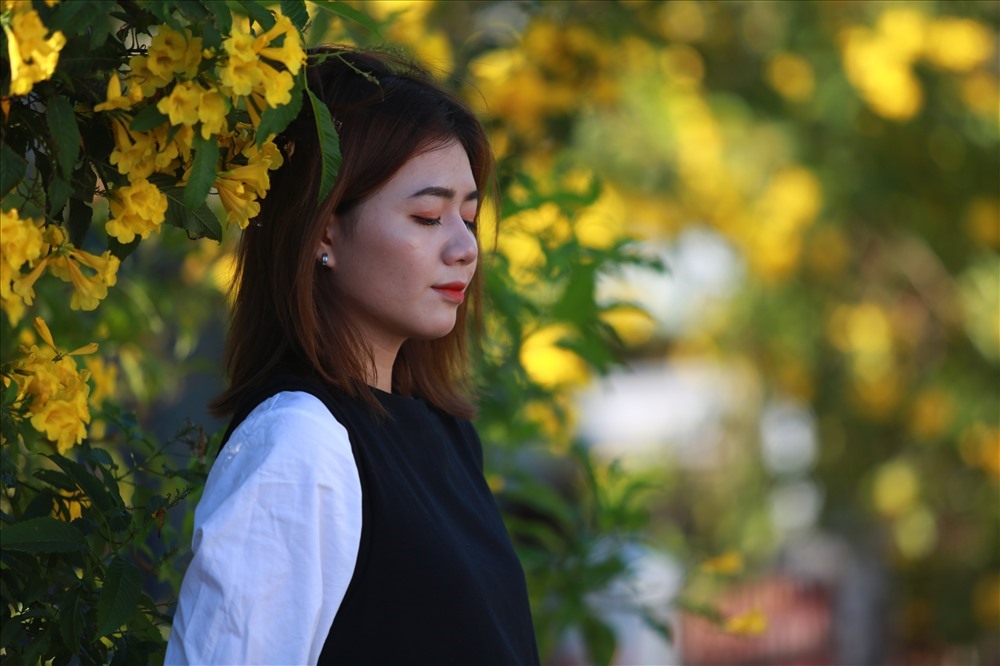Nguyễn Thị Trâm Anh (19 tuổi) được bạn dẫn tới đây để chụp hình chia sẻ: “Đây là địa điểm lý tưởng để sống ảo và có những bức hình tuyệt đẹp. Mình rất ấn tượng bởi khắp đoạn đường tàu đều rực vàng bởi hoa, đẹp như trong phim vậy“.