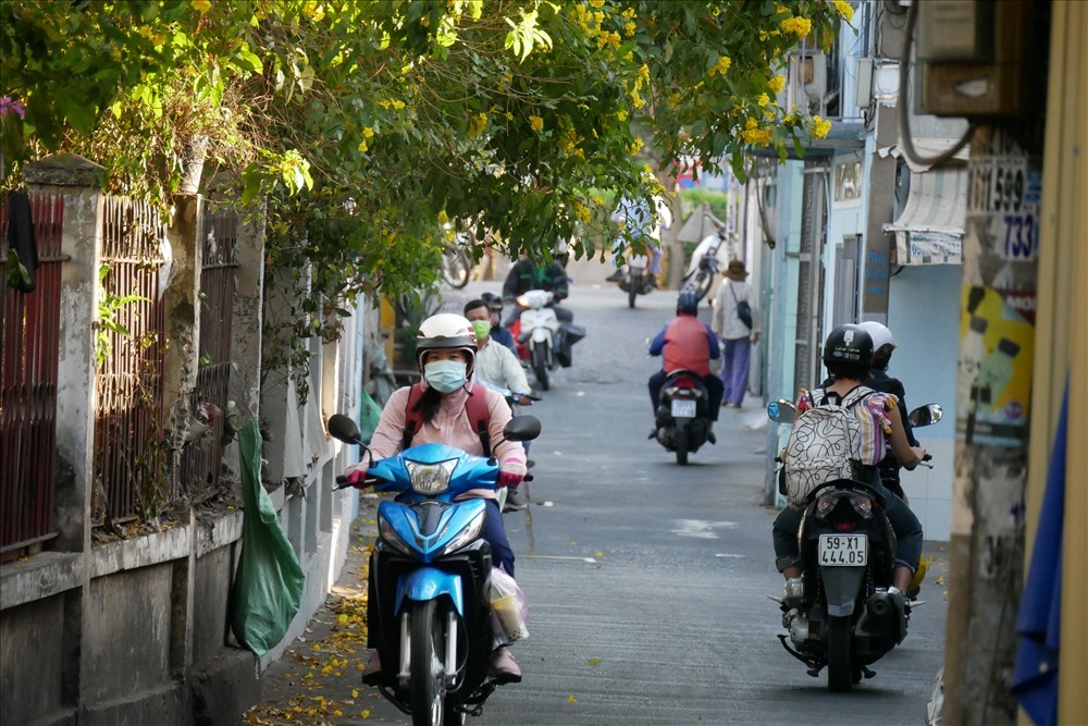 Sắc vàng như nắng của huỳnh liên mọc xen kẽ bên những chùm hoa giấy hồng, trắng ven đường làm cho phố Sài Gòn những ngày này trở nên tươi mát, dịu dàng hơn bao giờ hết.