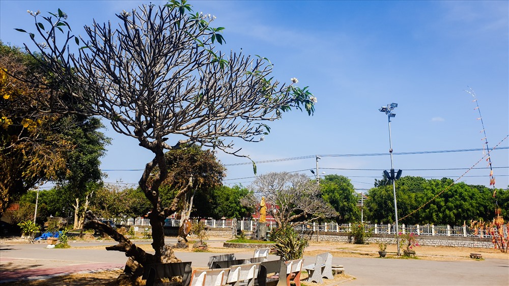 Là một di tích cổ và đẹp nhất ở Kon Tum, nhà thờ Chánh tòa luôn được đánh dấu trong bản đồ du lịch của nhiều du khách khi đến với thành phố cao nguyên trẻ trung và đầy năng động này.