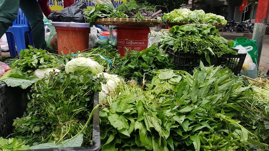 Tại các chợ dân sinh, một bó rau muống có giá lên tới 15.000-20.000 đồng. Ảnh: Kh.V
