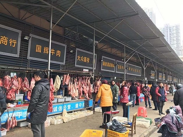 Chợ hải sản Hoa Nam, Vũ Hán. Ảnh: