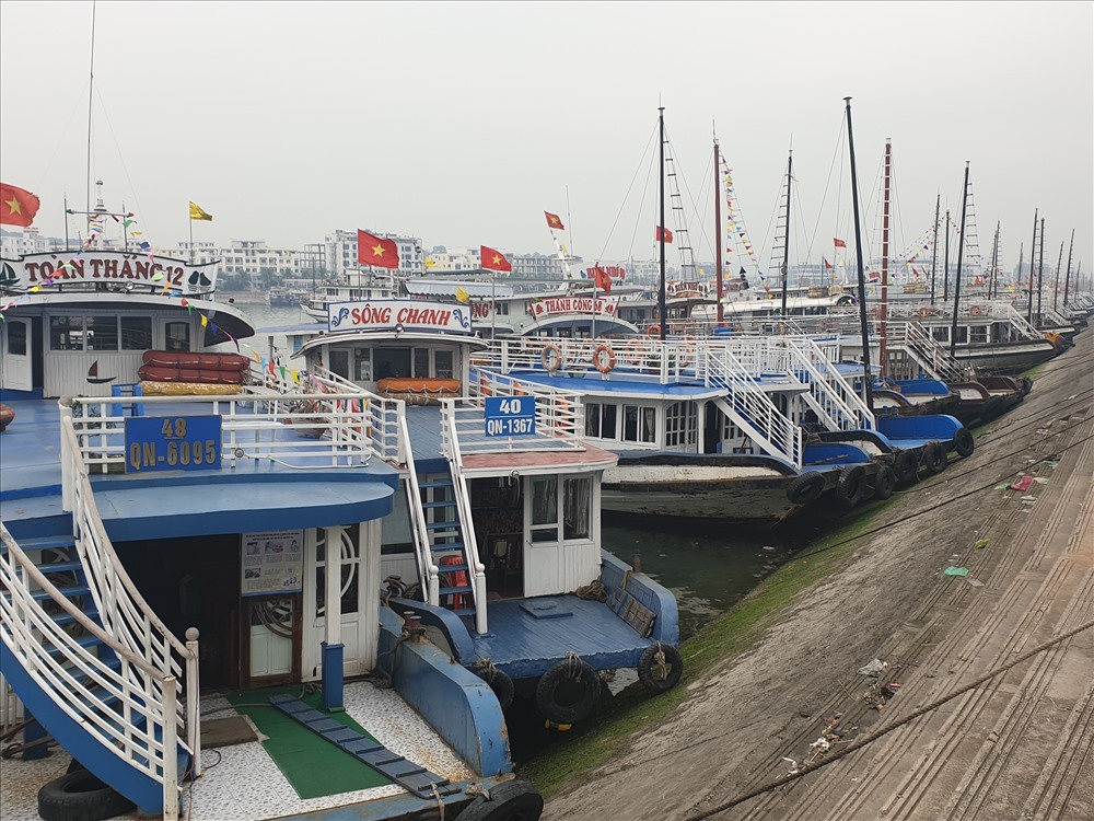 Hàng trăm con tàu “nằm bờ” kéo dài hàng km tại Cảng Tuần Châu. Ảnh: Nguyễn Hùng