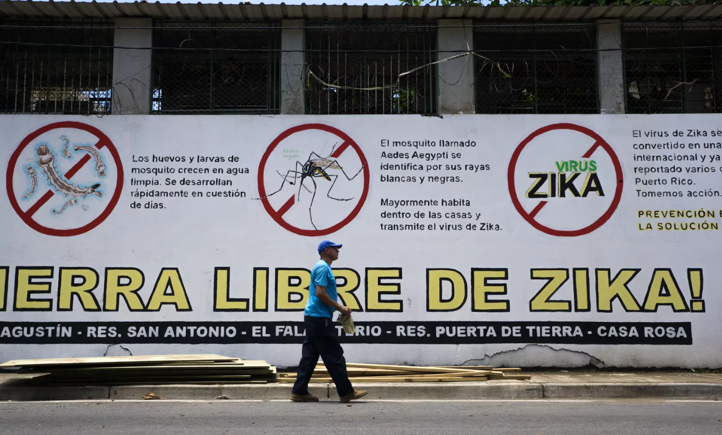 Cảnh báo virus Zika ở Puerto Rico, tháng 8.2016. Ảnh: Getty Images