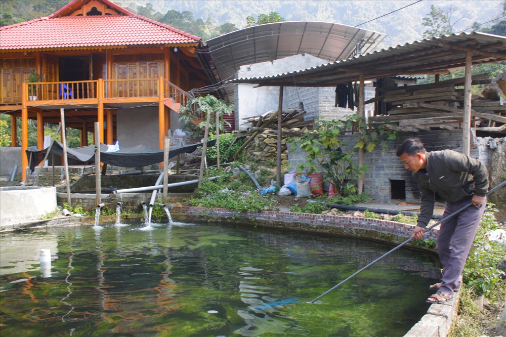 Cá hồi và cá tầm nuôi của trang trại chỉ đủ bán cho cá nhà hàng trên địa bàn tỉnh Hà Giang.