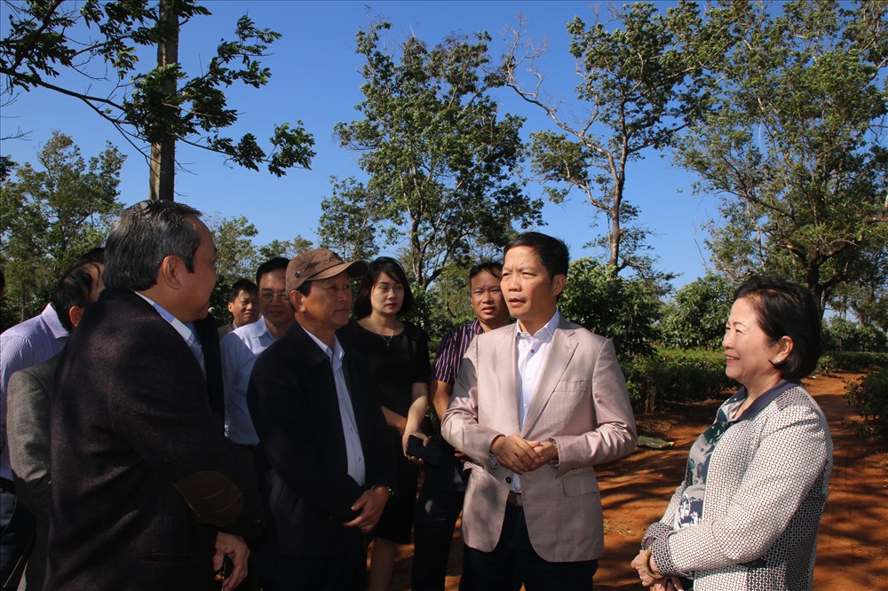 Bà Nguyễn Thị Sen (bên phải ảnh) - chủ đầu tư 2 dự án báo cáo Bộ trưởng Trần Tuấn Anh về tiến độ thực hiện. Ảnh: LX