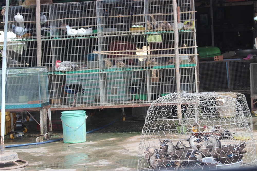 Chim cò được bày bán tại chợ nông sản Thạnh Hóa. Ảnh: K.Q