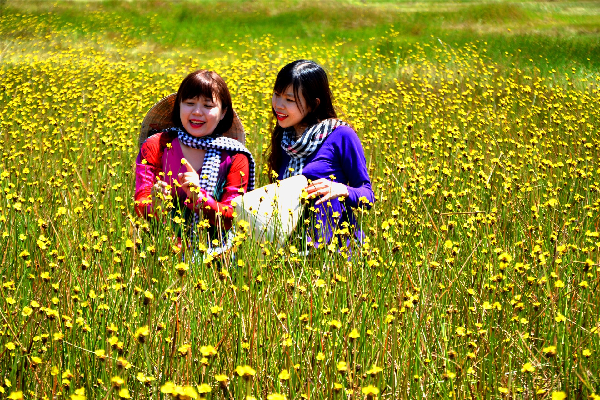 Đôi bạn nữ này ghi lại khoảnh khắc đẹp trên cánh đồng hoa Hoàng Đầu Ấn. Ảnh: LT