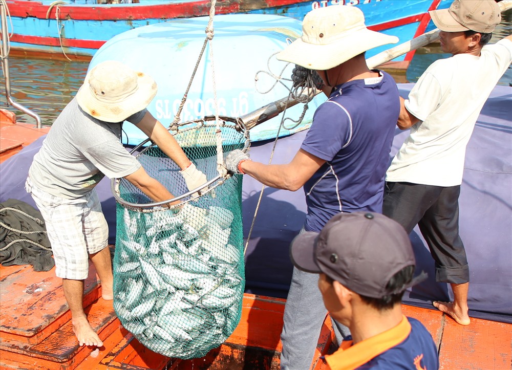 Tàu cá QT93636 của ngư dân Quảng Trị vay vốn nâng cấp theo Nghị định 67 hành nghề lưới vây. Vào ngày 6.2, tàu ra khơi cùng 12 thuyền viên đánh bắt cá ở vùng biển Quảng Trị cách bờ 35 hải lý,