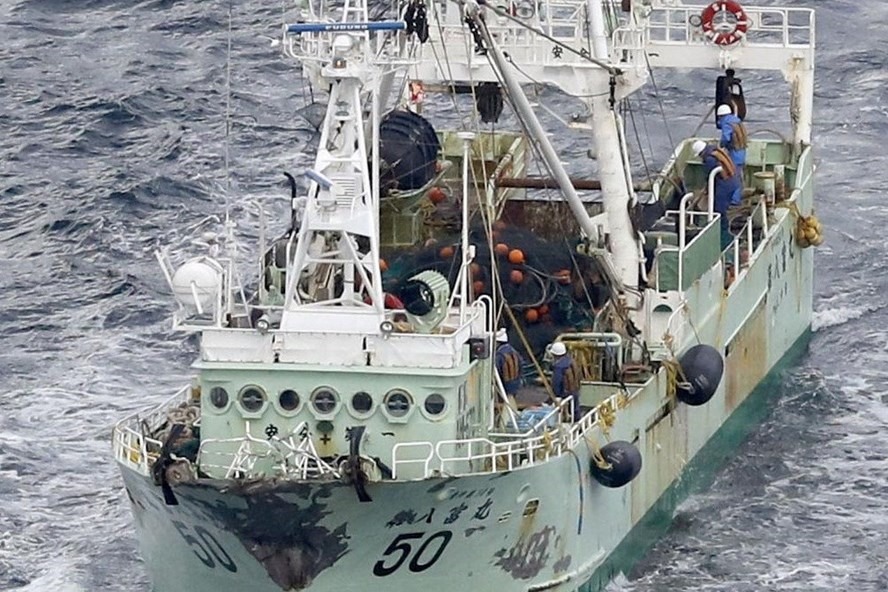 Trong vụ tai nạn chìm tàu ngày 29.2 tại vùng biển phía bắc Nhật Bản, anh Nguyễn Văn Hải là thuyền viên duy nhất được cứu. Ảnh Kyoto