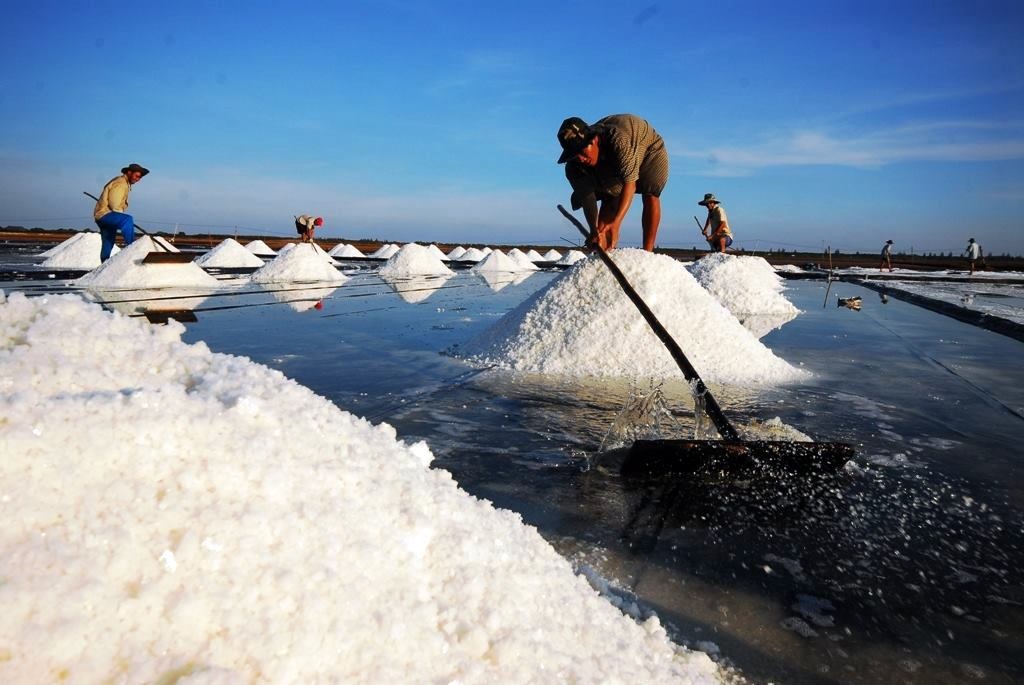 Nắng nóng kéo dài, nghề làm muối được mùa (ảnh Phan Thanh Cường)