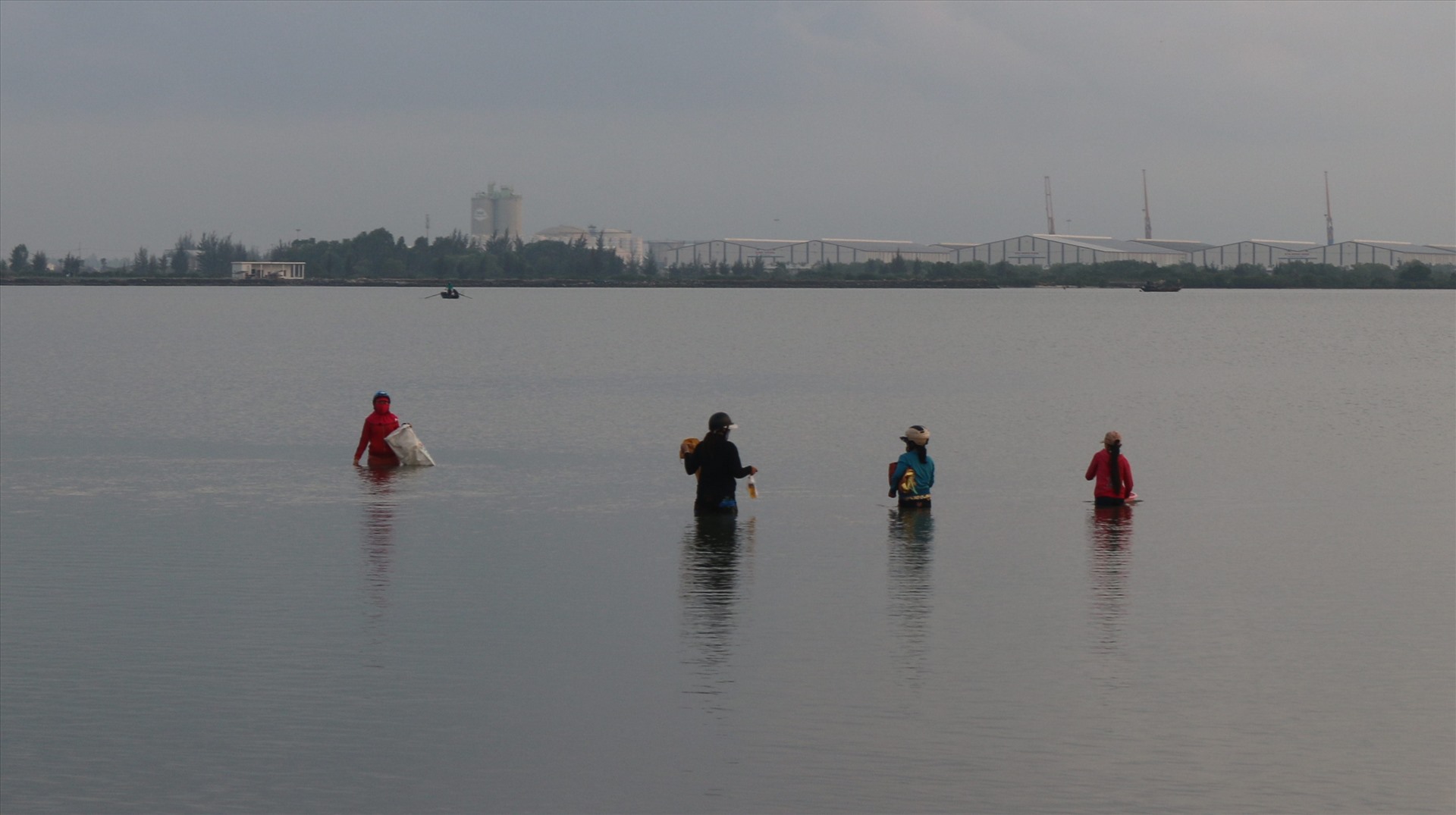 Từ 4h sáng bà Lê Thị Lợi (60 tuổi, xã tam Hiệp, huyện Núi Thành) cùng nhiều người phụ nữ khác lội ra ở giữa dòng sông Trường Giang để vớt rong câu.