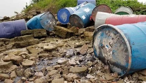 Hàng chục chiếc thùng phuy nghi chứa hóa chất độc hại bị đổ trộm xuống sông Hồng đoạn qua xã Vạn Phúc. Ảnh: NH.