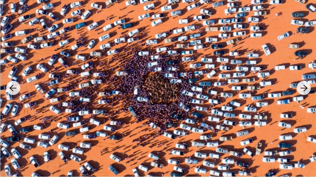 Dàn ô tô và người vây quanh lạc đà tại lễ hội lạc đà vua Abdulaziz ở Rumah, Saudi Arabia. Ảnh: AFP/Getty.