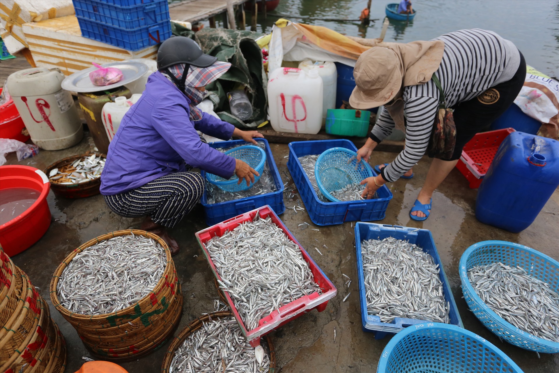 Cá cơm được rửa sạch ngay tại cảng An Lương và được bán lại cho những người mua số lượng vừa để về họ ngâm muối chế biến nước mắm.