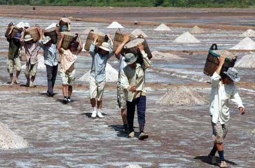 Trúng mùa, được giá diêm dân tranh thủ thu hoạch muối (ảnh Nhật Hồ)
