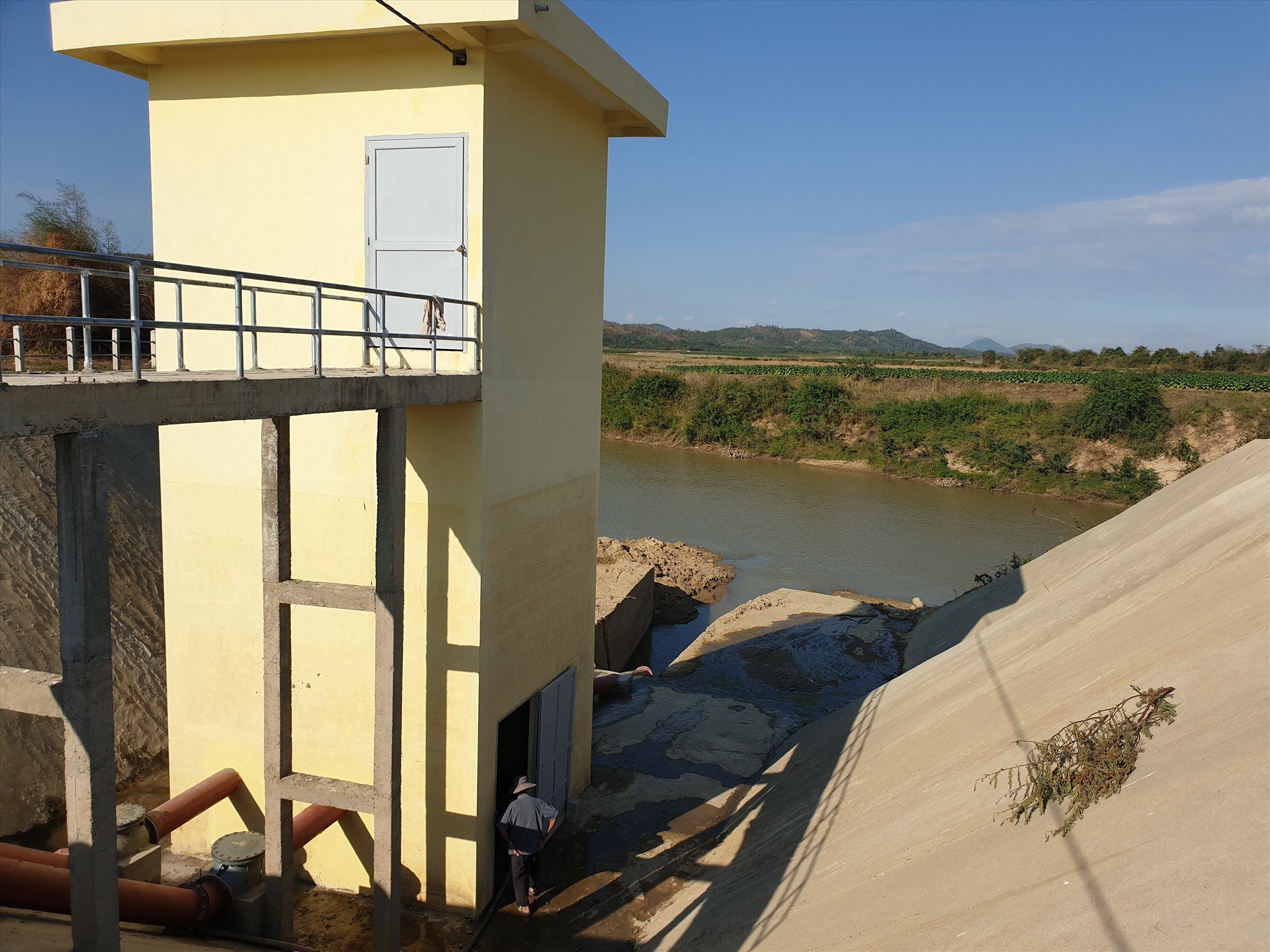 Được biết, Phòng NNPTNT huyện Krông Bông sẽ thống kê danh sách xin UBND huyện hỗ trợ kinh phí cho người dân tái sản xuất. còn những diện tích khô hạn có khả năng điều tiết nước được, Phòng lập các trạm bơm dã chiến đưa nước từ sông lên hoặc điều tiết nước từ công trình thủy lợi thác Krông Kmar về tưới cho cây trồng.