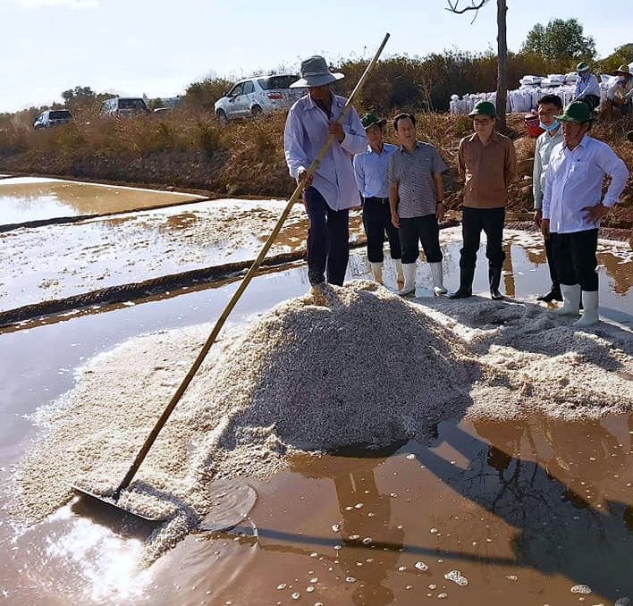 Được mùa, được giá, diêm dân Bạc Liêu phấn khởi thu hoạch muối (ảnh Phan Thanh Cường)