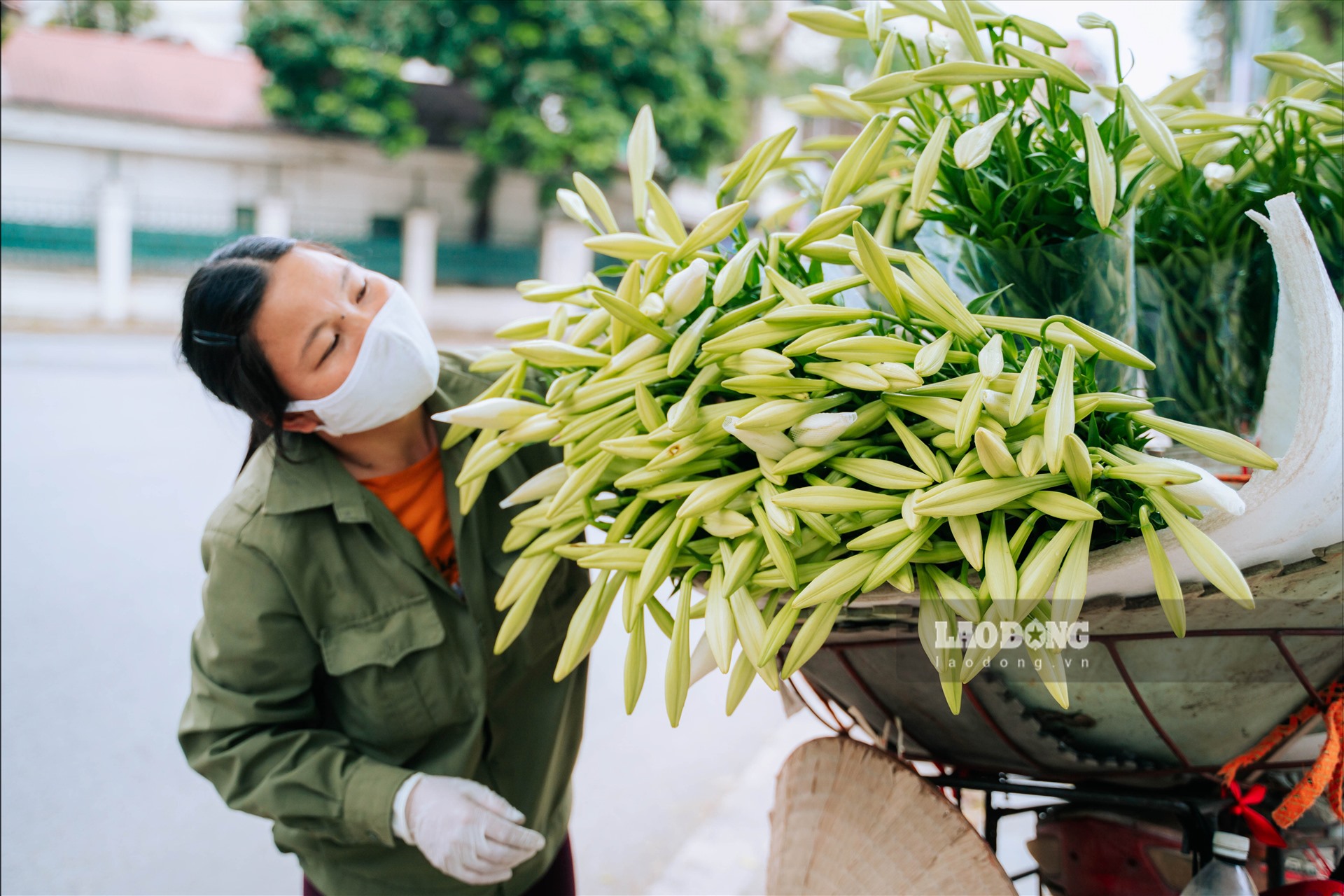 Chị Hạnh, một người bán hoa rong trên phố Phan Đình Phùng (Hà Nội) chia sẻ, thời điểm này loại hoa chủ đạo được mọi người bán nhiều là hoa loa kèn, ngoài ra, cũng có một số loại hoa khác . Hoa loa kèn có giá khoảng 20.000 – 35.000 đồng/bó 10 bông lẻ giảm khoảng 50% so với cùng thời điểm đầu vụ năm ngoái.