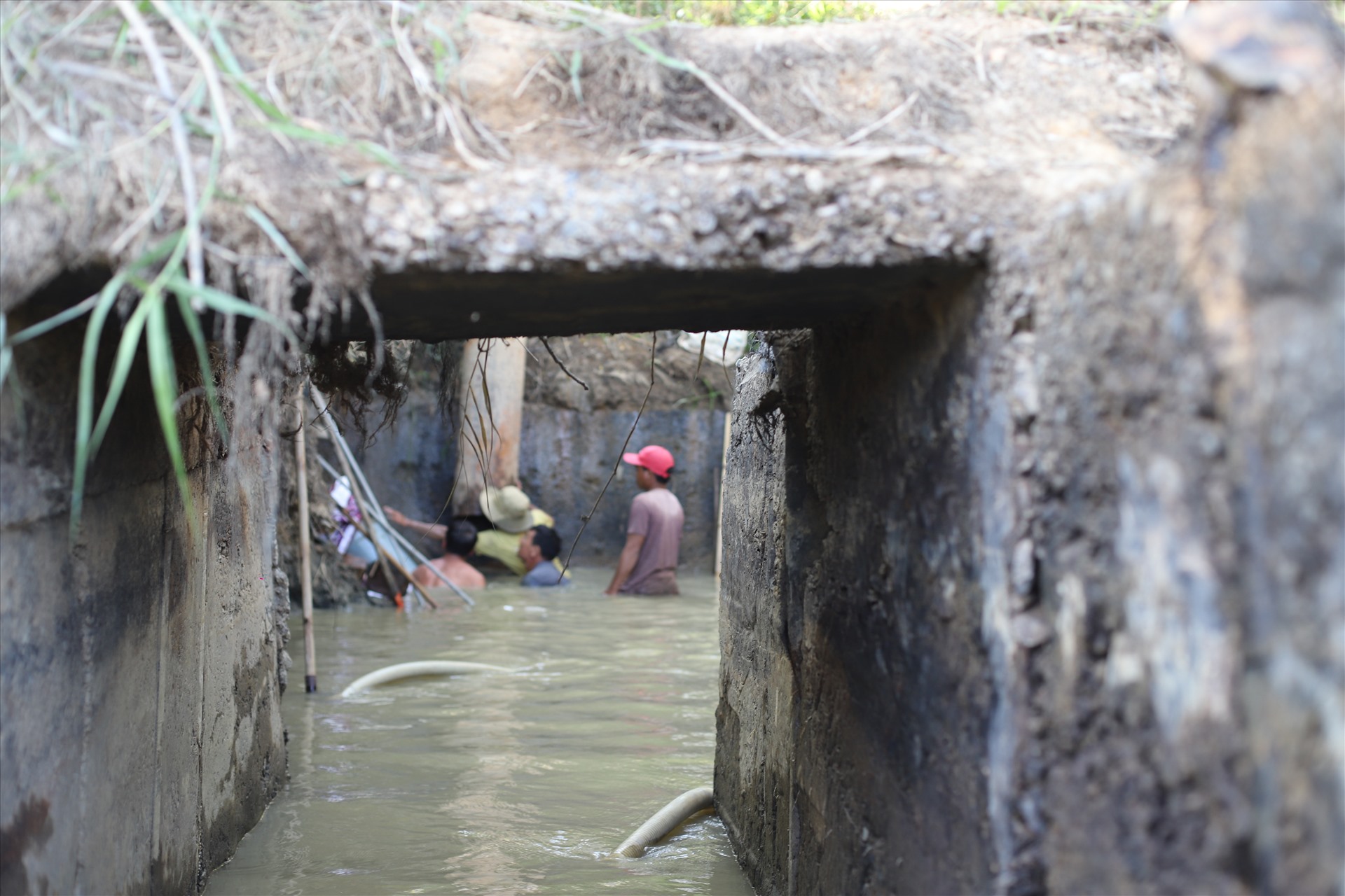 Dưới hạ du của hồ Thủy lợi Krông Pắk Thường, nhiều vùng trồng nông nghiệp đang trong tình trạng thiếu nước sản xuất.  Hình ảnh trên thời điểm người dân hì hục hút bùn, vét đáy để đưa nước vào trạm bơm T79 (thôn 1, xã Ea Pal).
