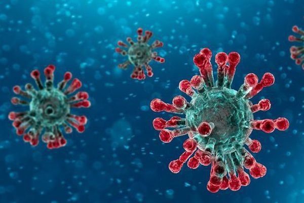 Virus SARS-CoV-2 có gai protein S được dùng để bám và xâm nhập vào tế bào đích.