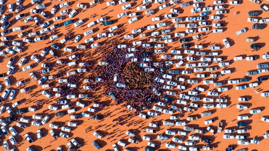 Rumah, Ả Rập Saudi: Một biển xe hơi và người dân vây quanh những chú lạc đà tại Lễ hội lạc đà vua Abdulaziz. Lễ hội kéo dài trong một tháng, bao gồm các cuộc đua cũng như phần thi lạc đà với 31,8 triệu đô la tiền thưởng. Ảnh: Faisal Al-Nasser