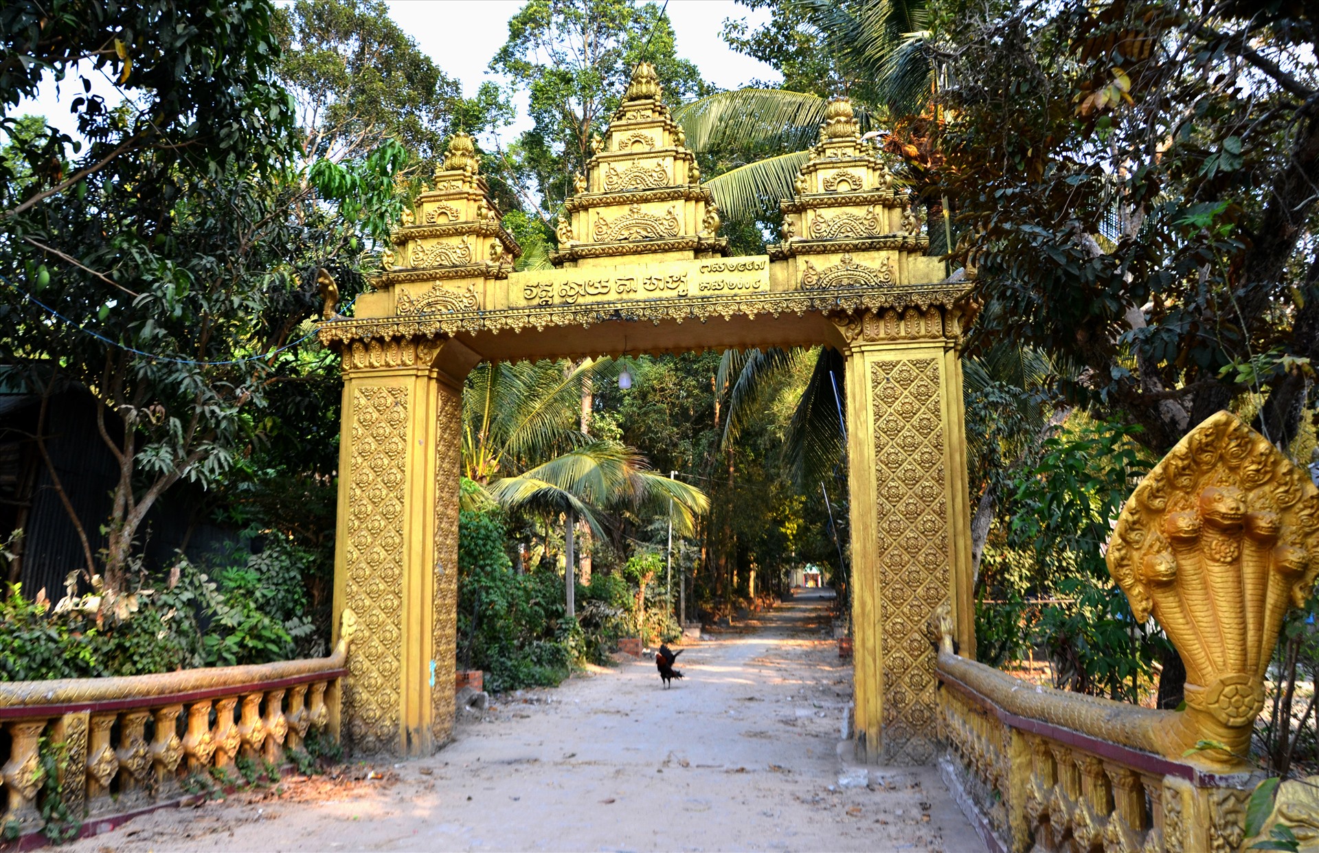 Cổng dẫn vào chùa nằm sâu trong rừng cây cổ thụ. Ảnh: LT