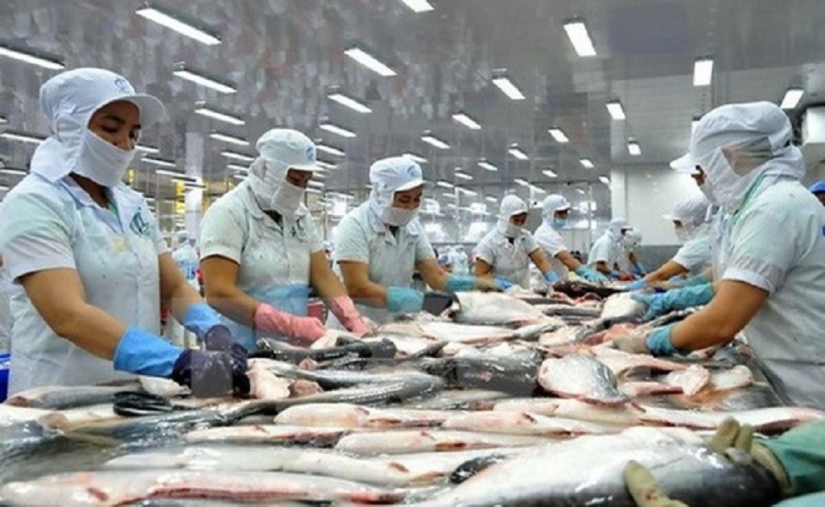 Tôm và cá tra là 2 mặt hàng thủy sản chiến lược xuất khẩu sang Trung Quốc.
