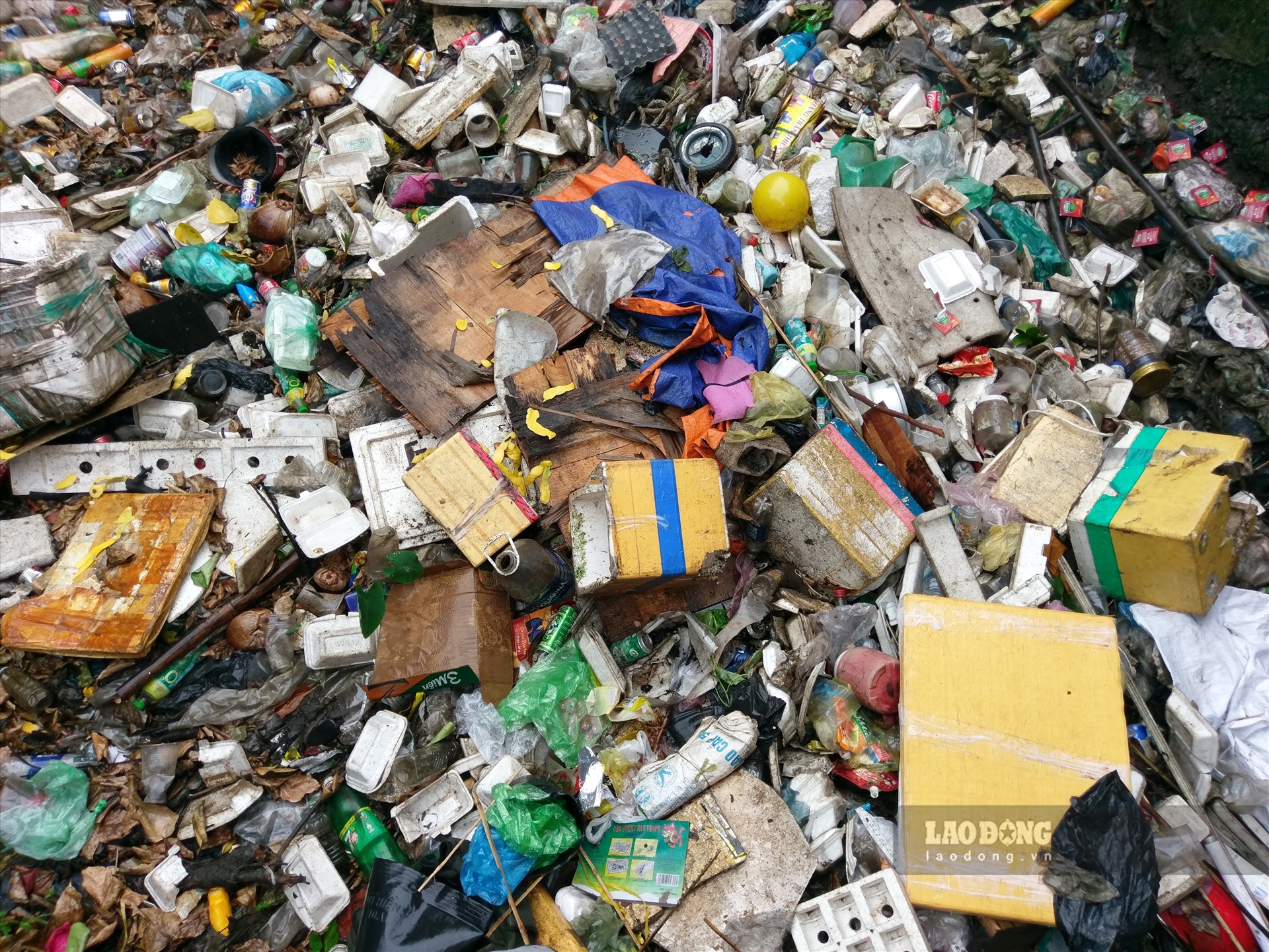 Các loại rác như chai nhựa, túi nylon, mút xốp, xác động vật... phủ kín mặt kênh. Bà Hoành Thị Lài, đã hơn 20 năm sống tại khu vực này, cho biết rác ngập kín kênh hơn 6 tháng nay nhưng không thấy nhân viên vệ sinh môi trường đến khơi thông.   Ảnh: Minh Quân