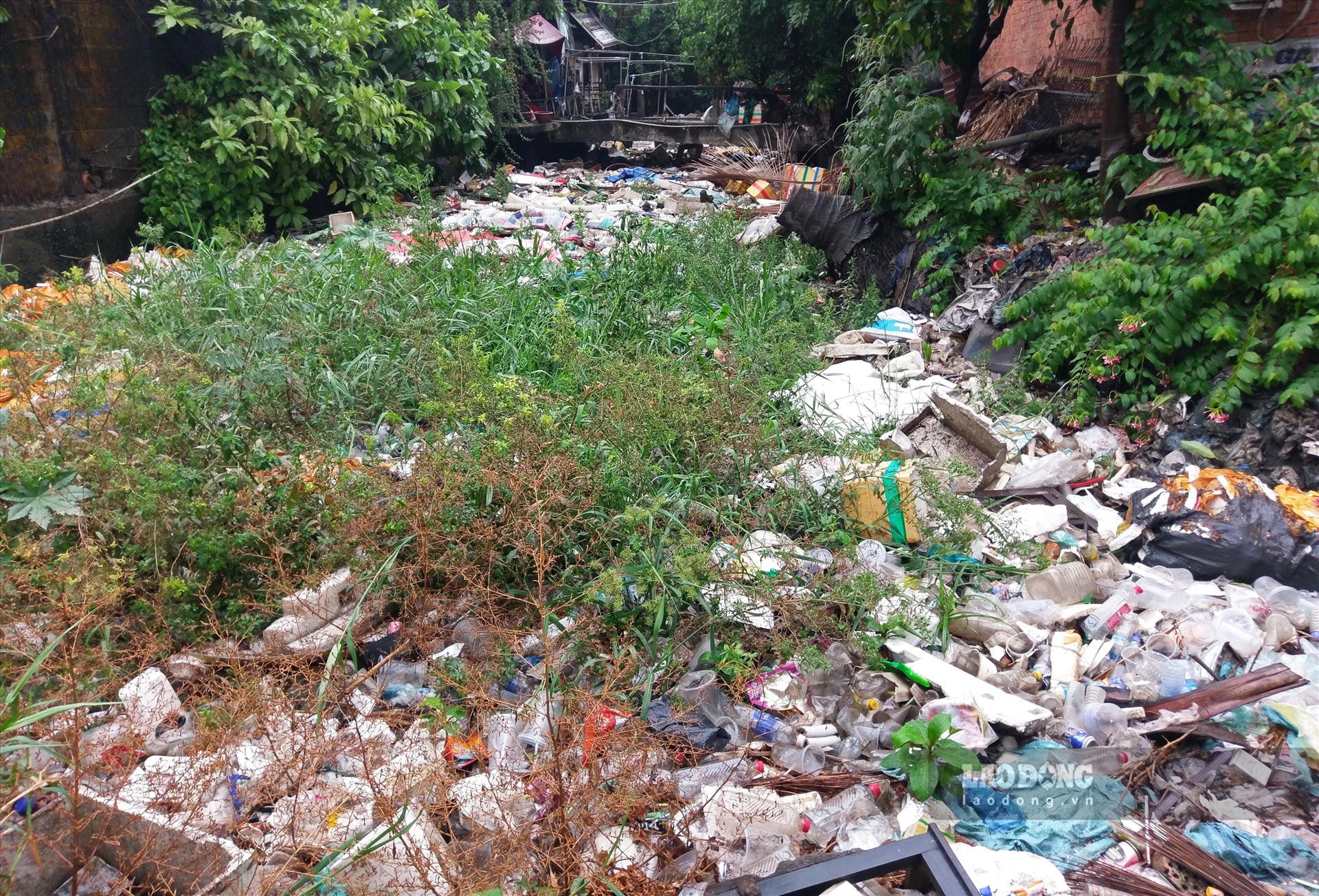 Bà Hoành Thị Lài, đã hơn 20 năm sống tại khu vực này, cho biết rác ngập kín kênh hơn 6 tháng nay nhưng không thấy nhân viên vệ sinh môi trường đến khơi thông. Ảnh: Minh Quân