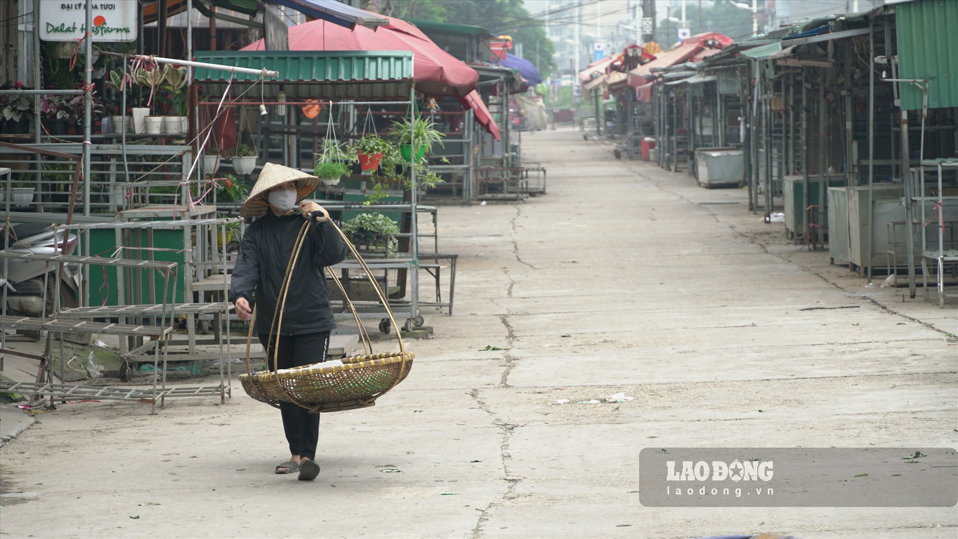 Không còn cảnh buôn bán tấp nập giữa những người yêu hoa, làm công việc liên quan đến hoa ở Hà Nội và các vùng lân cận. Nơi đây im ắng