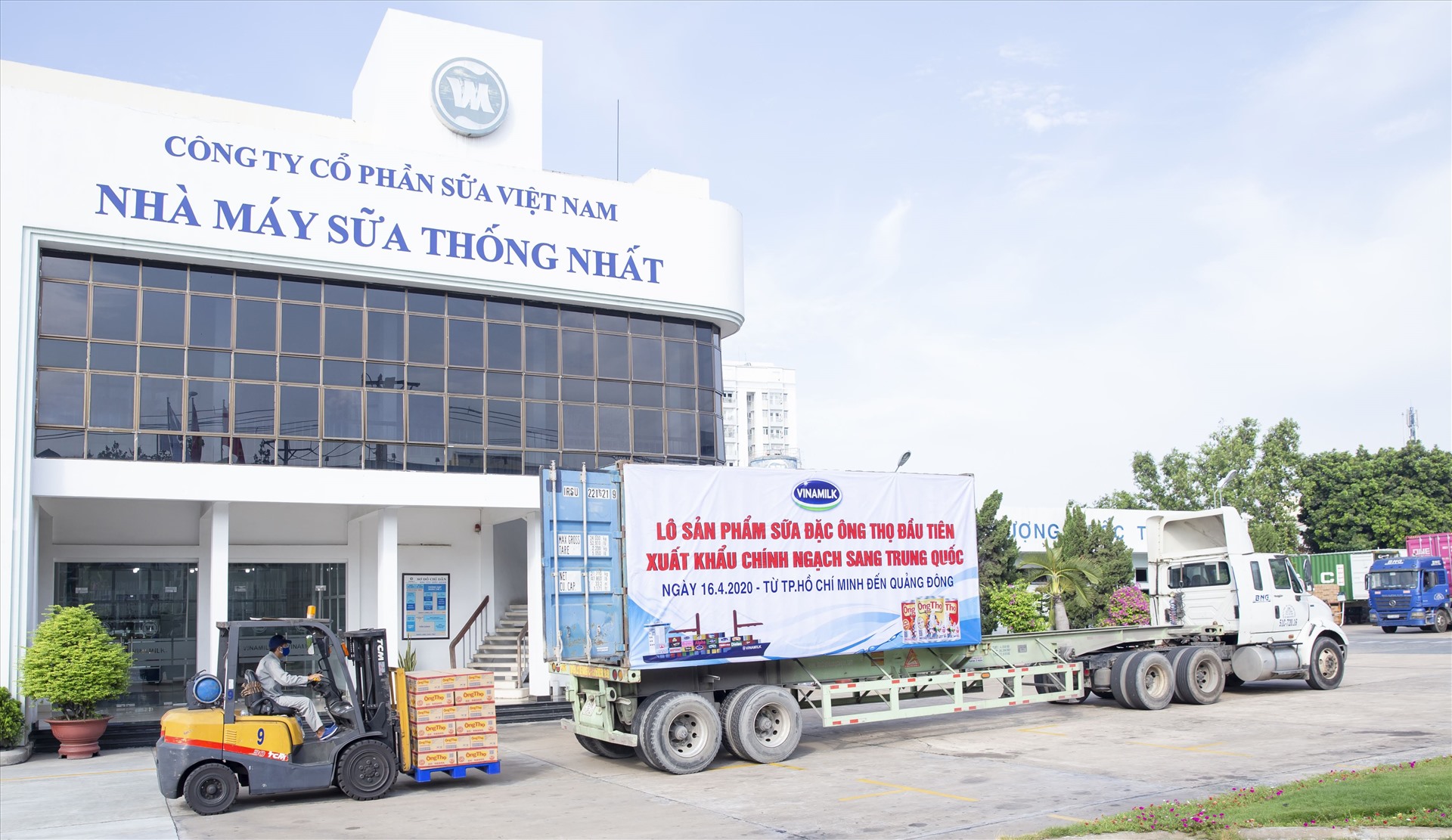 Lô sản phẩm sữa đặc Ông Thọ được đưa vào container chuẩn bị xuất đi Trung Quốc từ Nhà máy sữa Thống Nhất của Vinamilk.