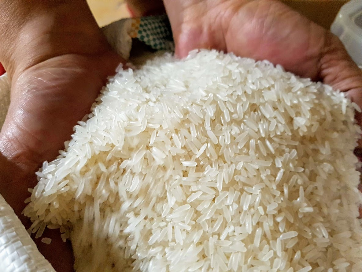 Nguồn cung lúa gạo trong nước dồi dào. Ảnh: Khánh Vũ