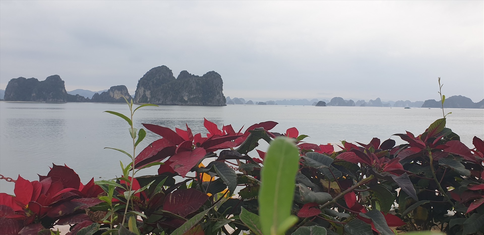 Với vịnh Bái Tử Long (ảnh) đẹp không kém vịnh Hạ Long, Vân Đồn được kỳ vọng sẽ trở thành một trung tâm du lịch sinh thái biển đẳng cấp thế giới. Ảnh: Nguyễn Hùng