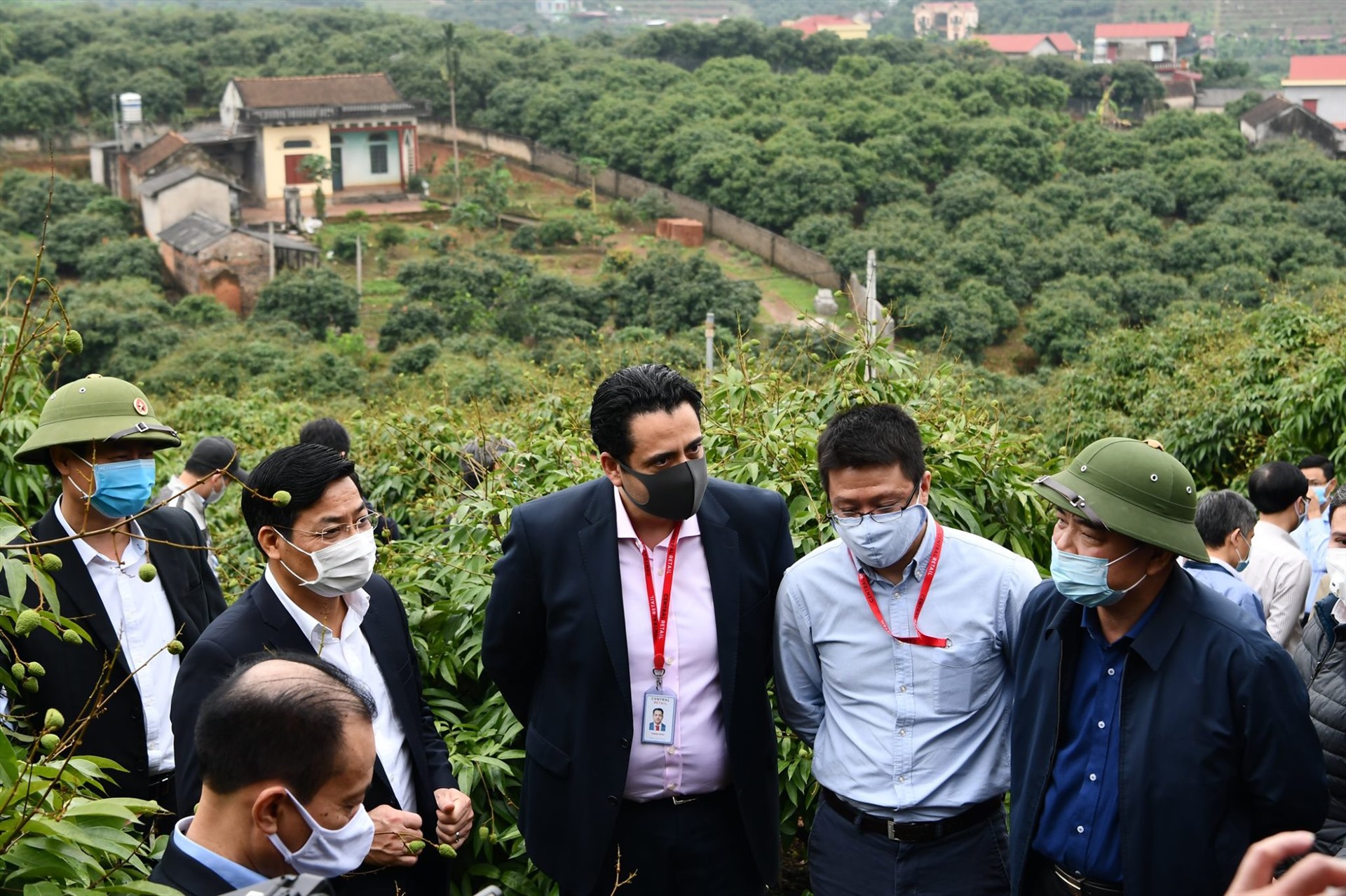 Bộ trưởng Nguyễn Xuân Cường nghe báo cáo về tình hình trồng vải thiều. Ảnh: Văn Giang