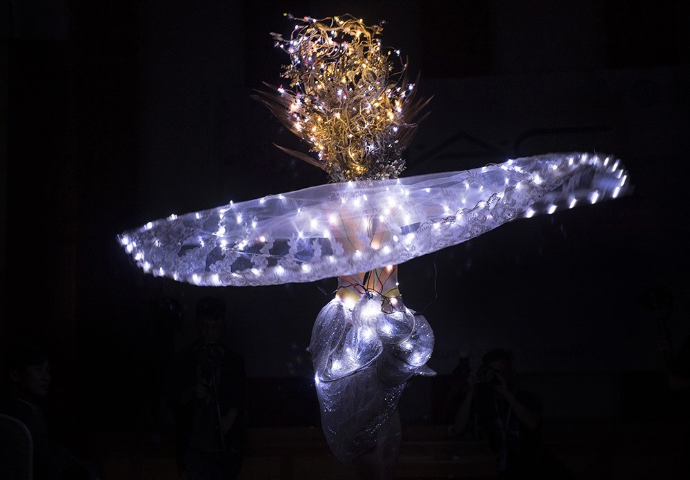Cánh bướm (một diễn viên múa trên sân khấu trong một tiết mục trình diễn mang thông điệp bảo vệ môi trường).