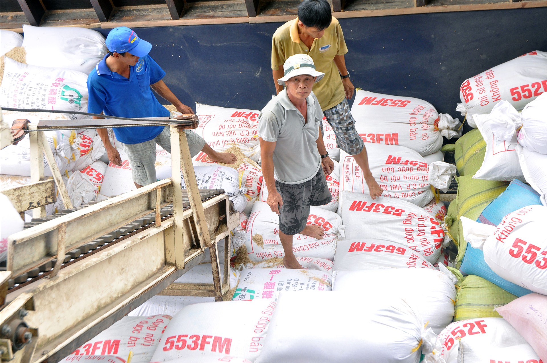 Đến nay, Việt Nam đã vươn lên trở thành một cường quốc xuất khẩu gạo nhất nhì trên thế giới với sản lượng xuất khẩu khoảng 6 triệu tấn/năm. Chỉ riêng 2 tháng đầu năm 2020, dù bị ảnh hưởng dịch COVID-19, nhưng xuất khẩu gạo vẫn đạt 929.000 tấn, thu về hơn 430 triệu USD, tăng 30,5% về lượng và tăng 38% về kim ngạch so với cùng kỳ năm 2019. Ảnh: Hoạt động tại một doanh nghiệp xuất khẩu ở Tiền Giang.