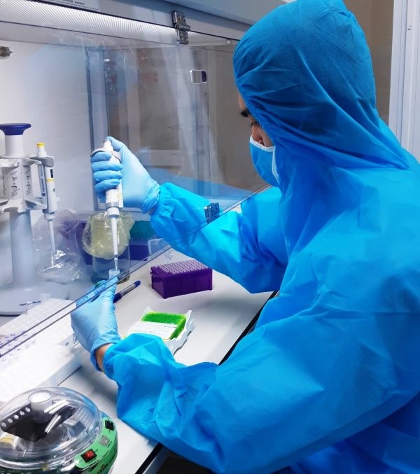 Nhân viên y tế thực hiện việc xét nghiệm các mẫu bệnh phẩm liên quan đến SARS-CoV-2. Ảnh: NT
