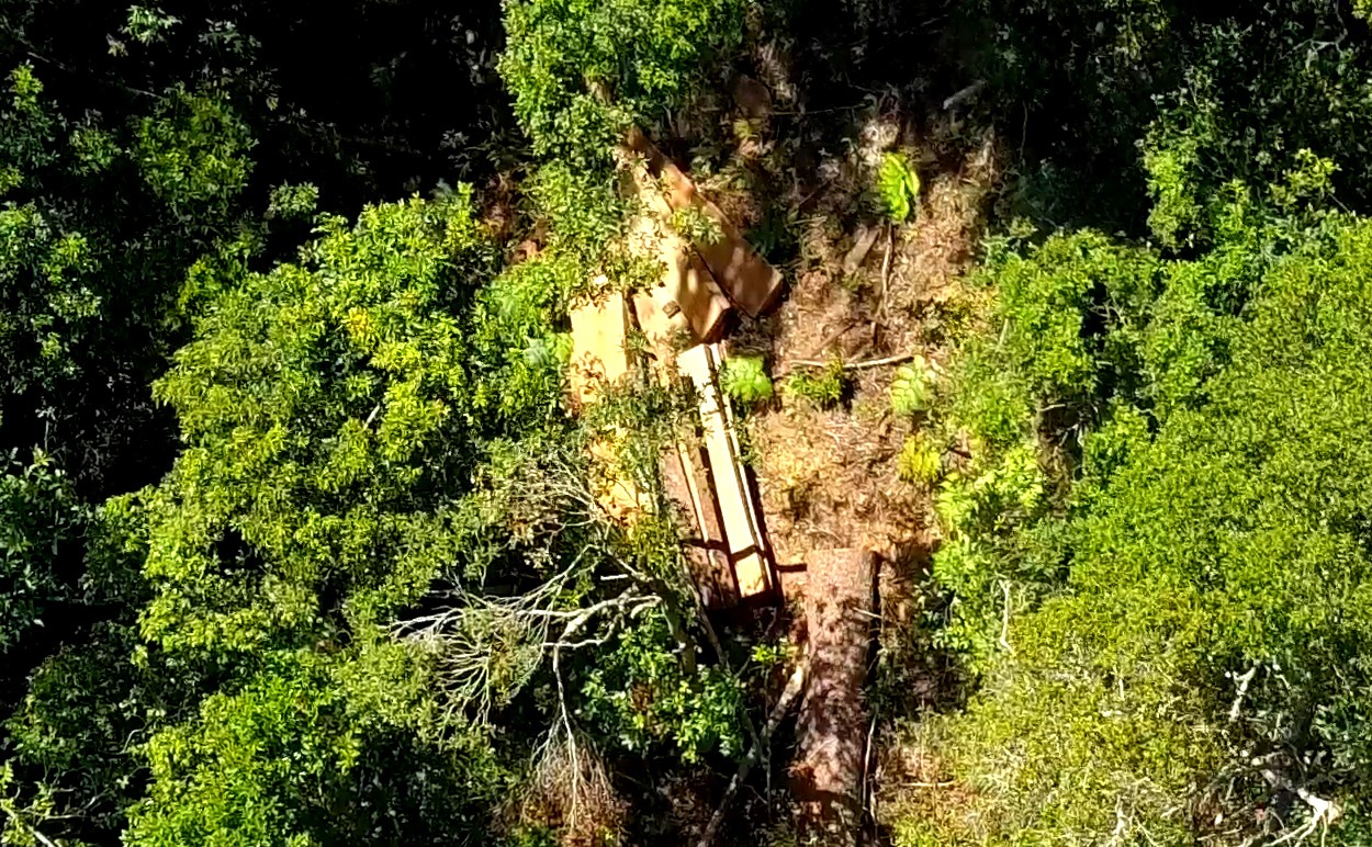 Những hộp gỗ còn mới nguyên vẫn còn rải rác khắp cánh rừng tại Tiểu khu 406 và 408 lâm phần BQL RPH Đăk Đoa
